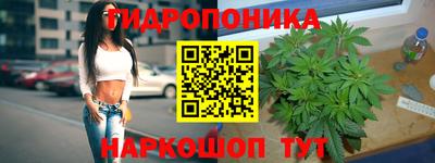 мдпв Аша